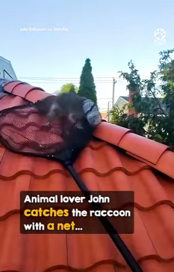 B0101005 He trying to help pull jar off his little paws (Part 2)