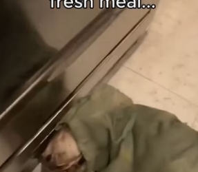 P1401006 dog rescuer encounter to give him shelter (Part 2)