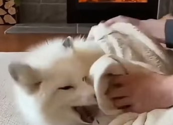 P1601001 Today, kindness saved a life (Part 2)