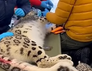 P1601004 From lost to loved (Part 2)