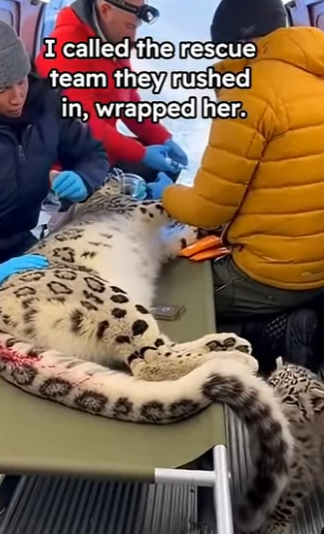 P1601004 From lost to loved (Part 2)