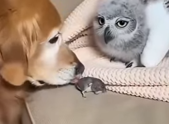 P1601005 Care can change everything (Part 2)