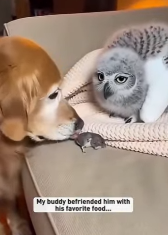 P1601005 Care can change everything (Part 2)