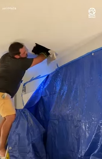 B0101001 Couple makes cute discovery in ceiling (Part 2)