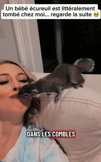S1601001 Ce petit écureuil tombe de mon plafond et regarde la suite (Part 2)