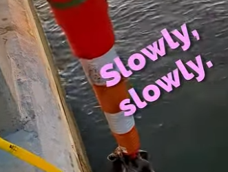 B0101003 Thank you your compassion dedication to save little animal (Part 2)