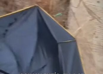 M1601004 Perrito fue salvado de ahogarse (Parte 2)