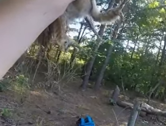 B0101022 poor thing was so scared (Part 2)