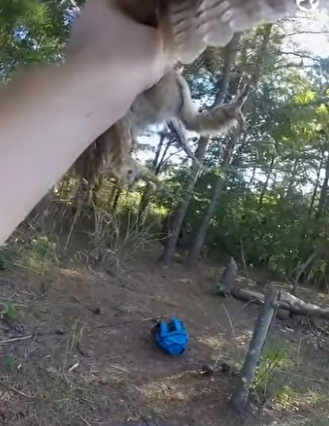 B0101022 poor thing was so scared (Part 2)