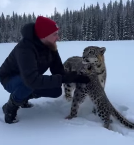 T1601002 saved cub freezing in lake (Part 2)