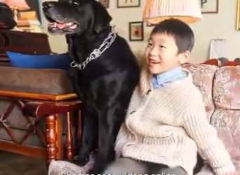 I1401009 insanely jealous dog always growls at baby whenever mom (Part 2)