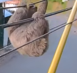 B0101015 So beautiful (Part 2)