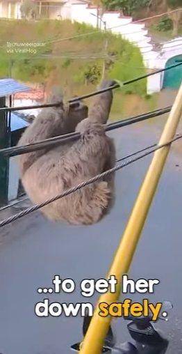 B0101015 So beautiful (Part 2)