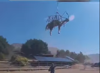 I1401004 Helicopter rescues fallen horse danger (Part 2)