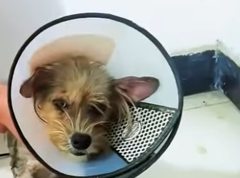 When help arrives just in time (Part 2)