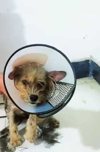 When help arrives just in time (Part 2)