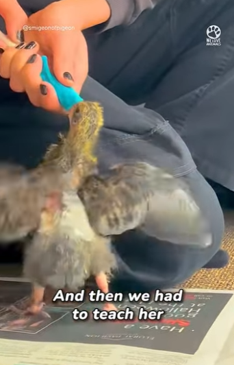 B0101012 Who knew they were smart (Part 2)