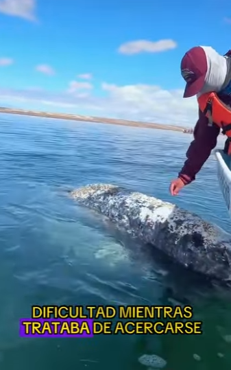 L1701012 Every life deserves a second chance (Parte 2)