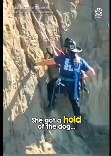 B0101007 One brave woman climbs steep rock, risking everything to save dog (Part 2)