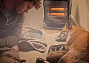 S1701001 Sous hiver glacial je tente le sauvetage une maman renard mais (Parte 2)