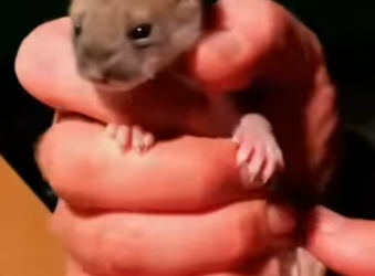 S1701014 Regarde ce que ai trouvé aujourd hui (Parte 2)