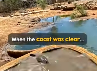 B0101006 Thank you saving baby reuniting him mama (Part 2)