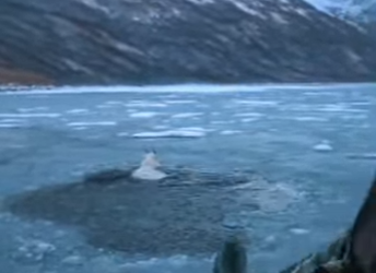 I1401006 Big Wild Outfitters Kodiak Goat Rescue (Parte 2)