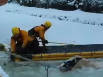 I1601001 wootton horse rescue (Part 2)