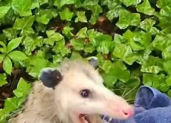 B0101023 Not all heroes wear capes (Part 2)