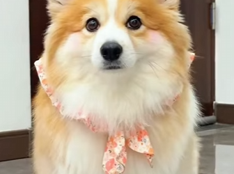 A1701008 Porque cada latido importa (Parte 2)