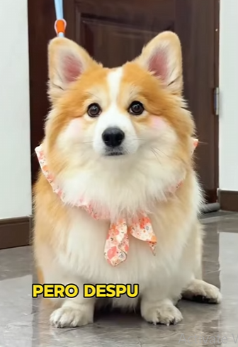 A1701008 Porque cada latido importa (Parte 2)