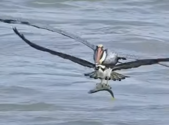 A1701014 Gracias a quien no miro a otro lado (Parte 2)