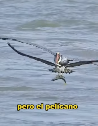 A1701014 Gracias a quien no miro a otro lado (Parte 2)