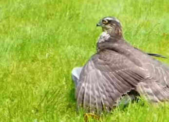 A1701012 La esperanza comienza con un gesto (Parte 2)