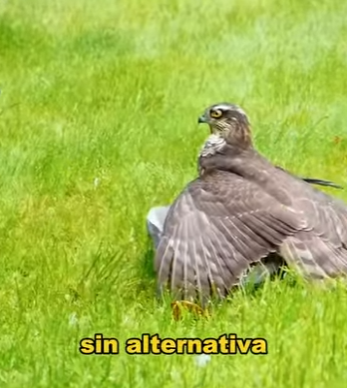 A1701012 La esperanza comienza con un gesto (Parte 2)