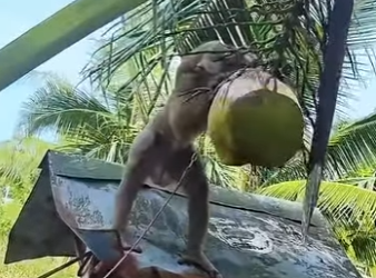 A1701009 Manos amables crean milagros (Parte 2)