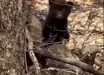 A1701003 El amor llega justo a tiempo (Parte 2)