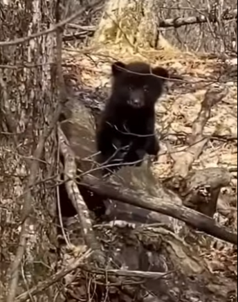 A1701003 El amor llega justo a tiempo (Parte 2)