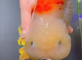 A1701007 De miedo a seguridad en segundos (Parte 2)