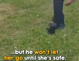 B0101008 All lives deserve saving (Part 2)