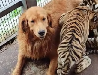 A1701006 Hoy la bondad gano una batalla (Parte 2)