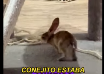 A1701005 Donde hay compasion, hay esperanza (Parte 2)