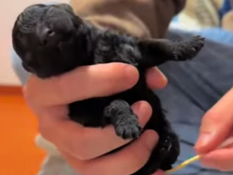 A1701002 La bondad puede cambiar destinos (Parte 2)