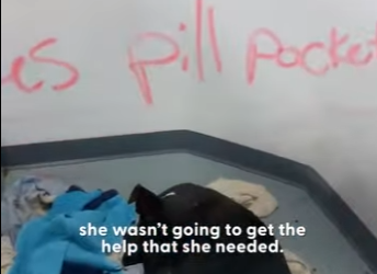 W1701001 Growling, Aggressive Mama Pittie Transforms Into Cuddlebug (Part 2)