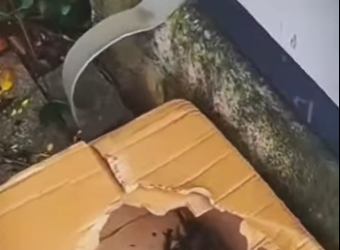 M1701002 Quien puede abandonar algo tan lindo (Parte 2)