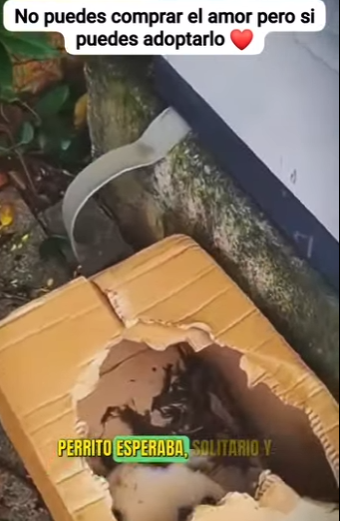 M1701002 Quien puede abandonar algo tan lindo (Parte 2)