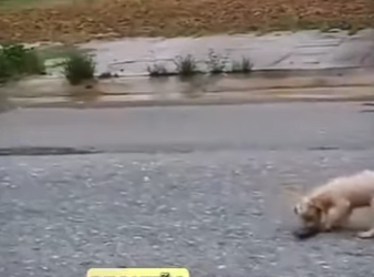 M1701007 Este bebecito fue abandonado (Parte 2)