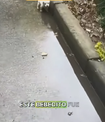 M1701005 Este bebecito fue abandonado (Parte 2)