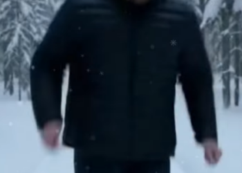 Q1701005 chimpanzee asked me help,and then happened (Part 2)