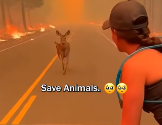 D1501010 No more suffering, only care. (Part 2)